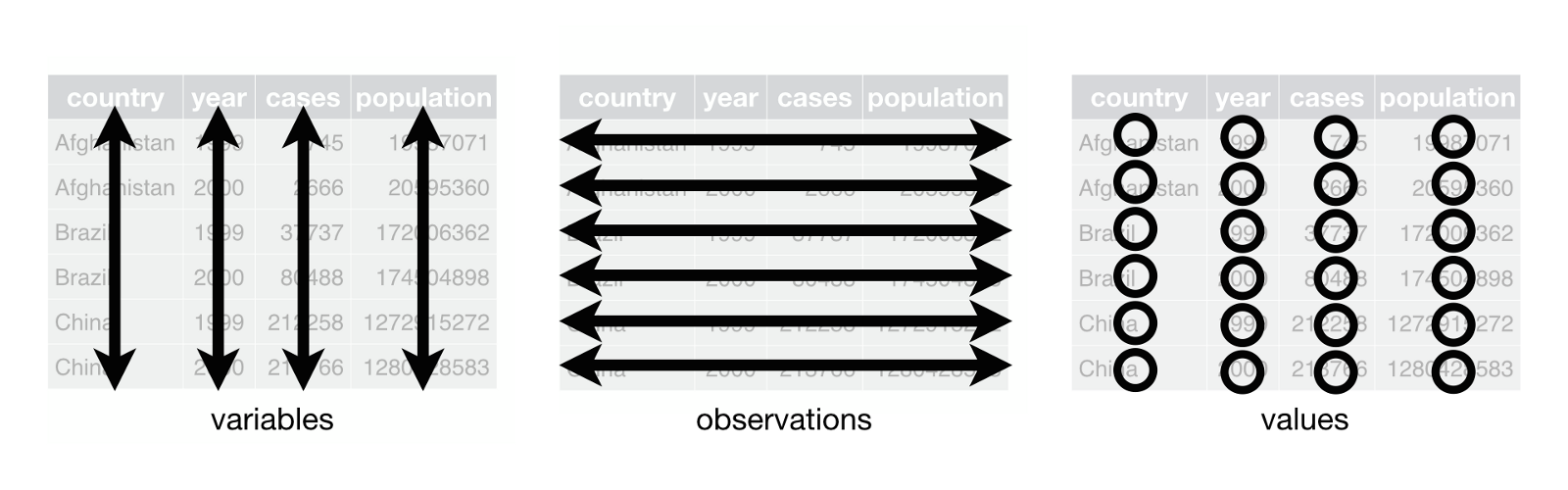 Tidy Data Summary