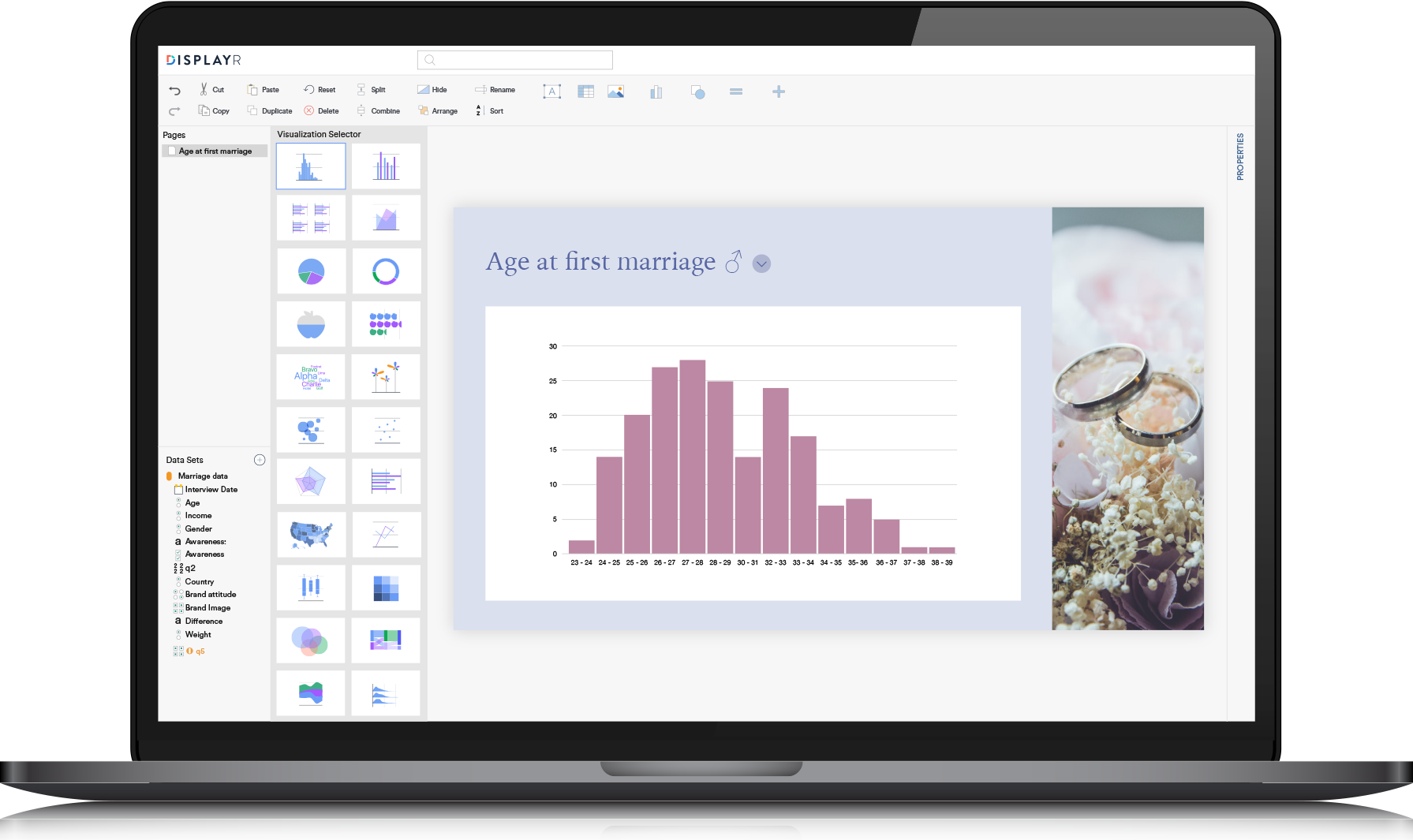 Histogram Maker in Displayr